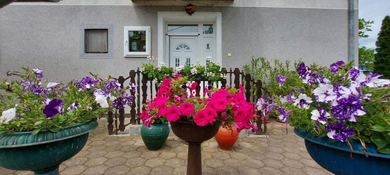 Guest House Dunavski Raj Kostol Exteriér fotografie