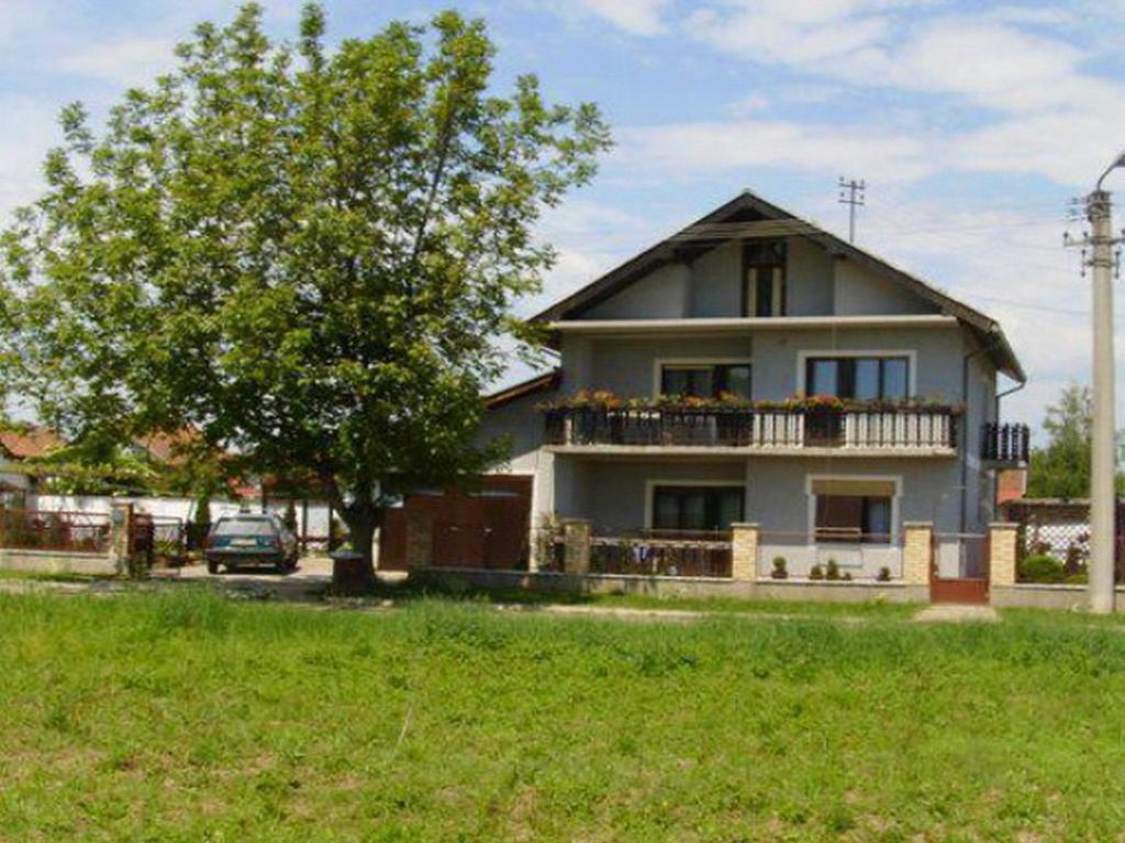 Guest House Dunavski Raj Kostol Exteriér fotografie
